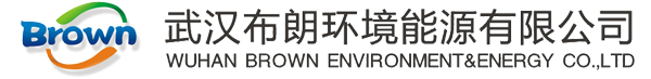 汽車尾氣治理_尾氣治理M站設(shè)備_氫氧除碳機(jī)廠家_武漢布朗環(huán)境能源有限公司